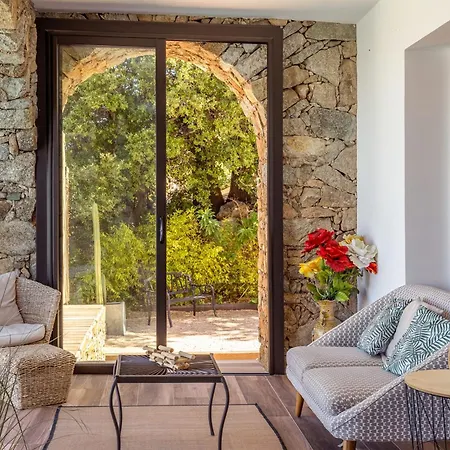 A Surgenta Monticello