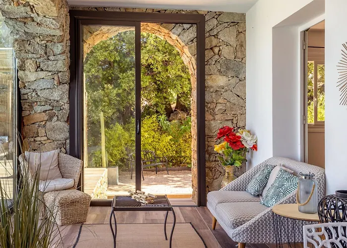 A Surgenta Monticello